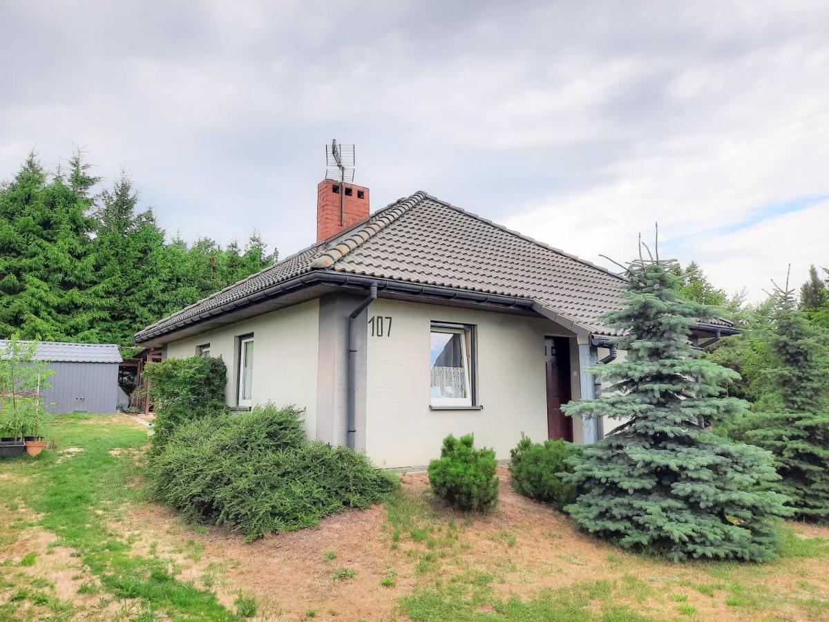 Daglezja Vip Villa Kołczewo Exteriör bild